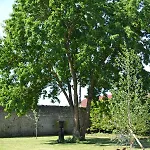 La Maison Des Buis Frühstückspension 3*