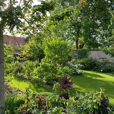 לינה וארוחת בוקר La Maison Des Buis פאלז