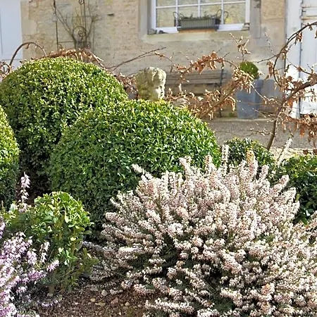 Bed & Breakfast La Maison Des Buis 3*