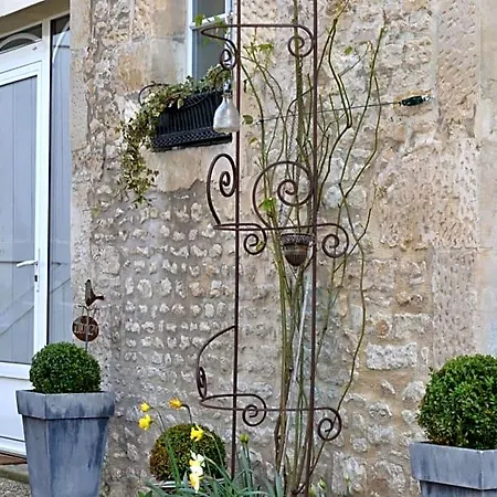La Maison Des Buis Falaise (Calvados)