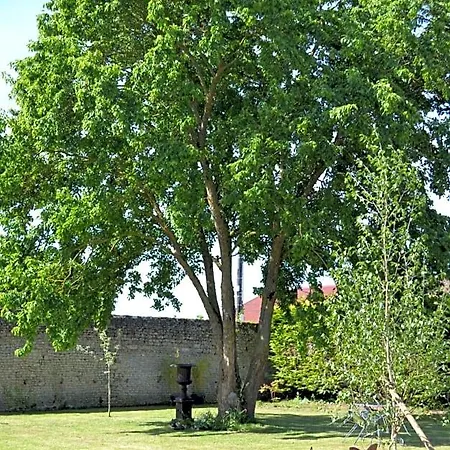 La Maison Des Buis לינה וארוחת בוקר פאלז