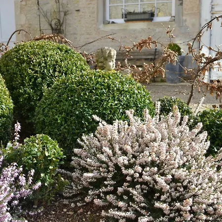 La Maison Des Buis Bed & Breakfast Falaise (Calvados)