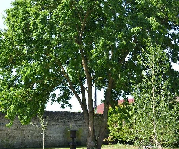 La Maison Des Buis לינה וארוחת בוקר 3*