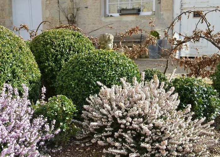 La Maison Des Buis Bed & Breakfast Falaise (Calvados)