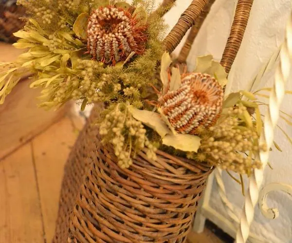 Bed & Breakfast La Maison Des Buis